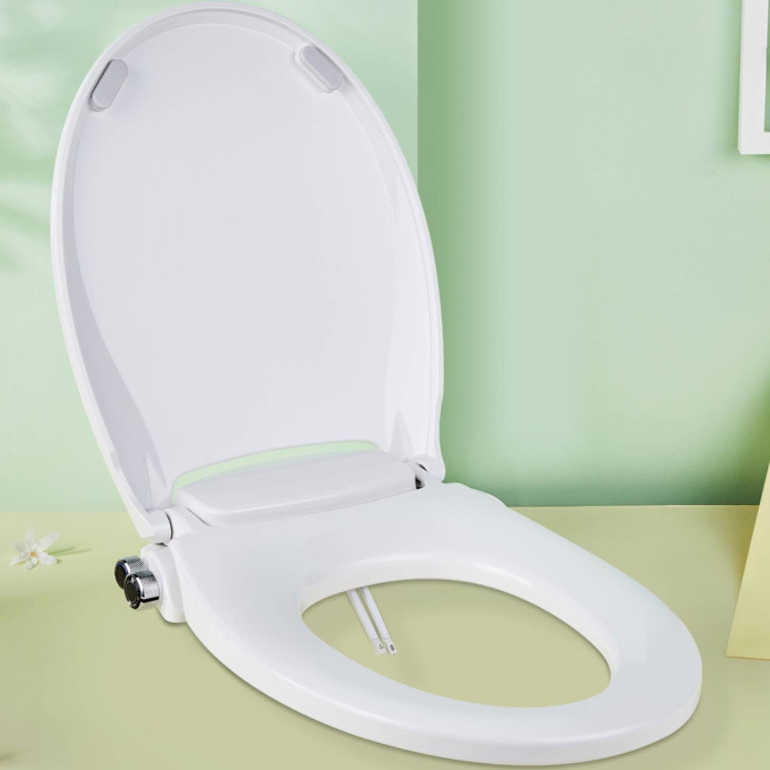Toilet Seat and Bidet